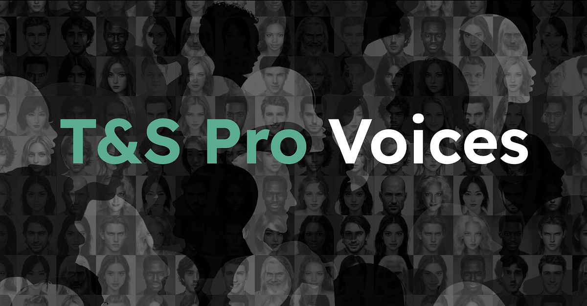 Amplifying the voices of Trust and Safety Professionals: Introducing T&S Pro Voices